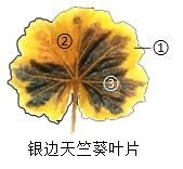 题图 1