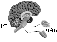 题图 1