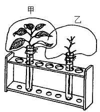 题图 1