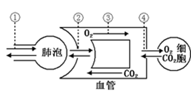 题图 1