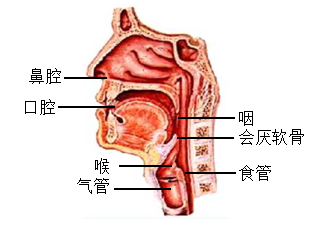 题图 1