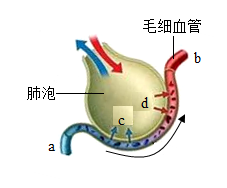 题图 1