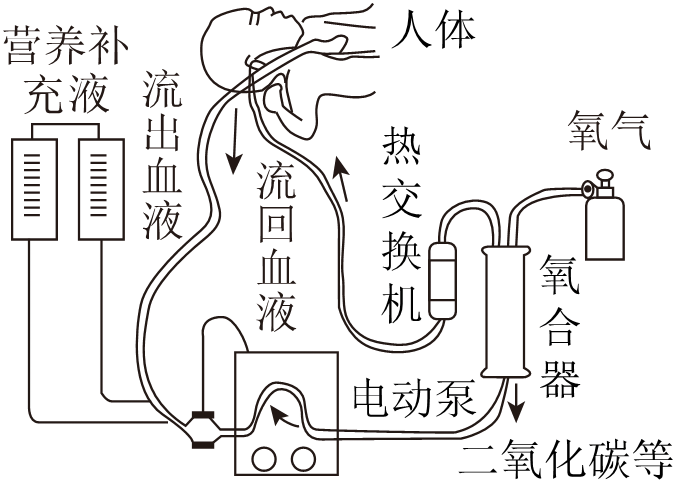 题图 1