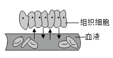 题图 1