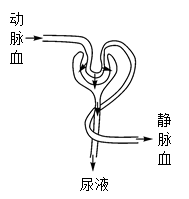 题图 1