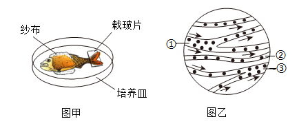 题图 1