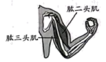 题图 1