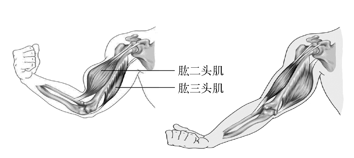 题图 1