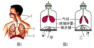 题图 1